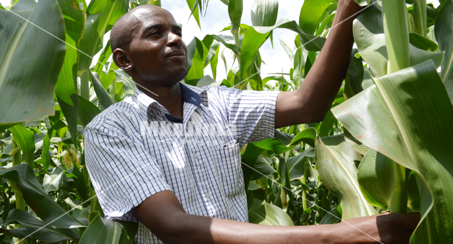 Hiring a Professional Farm Manager Makes a lot of Cents