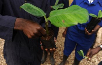 Together, we are shaping the future of agriculture