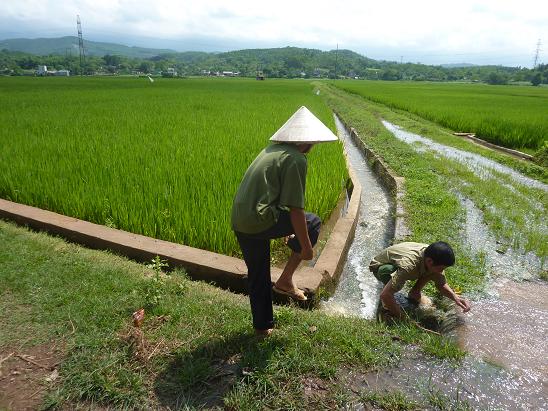 rice irrigation - Vietnam