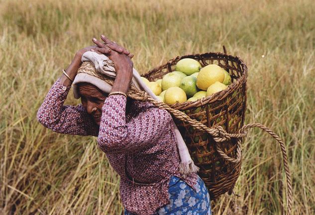 Sjerpa woman