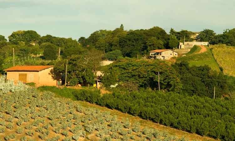 Rebeca Souza shares her experience as representative of the Young Professionals for Agricultural Development (YPARD) network in Brazil. (shutterstock)