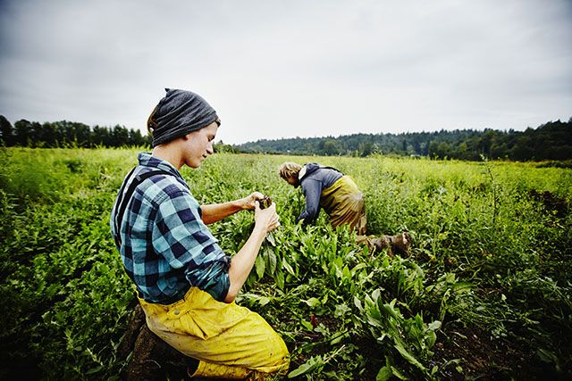 Should Farming Get You Out of Paying Your Student Loan Debt?