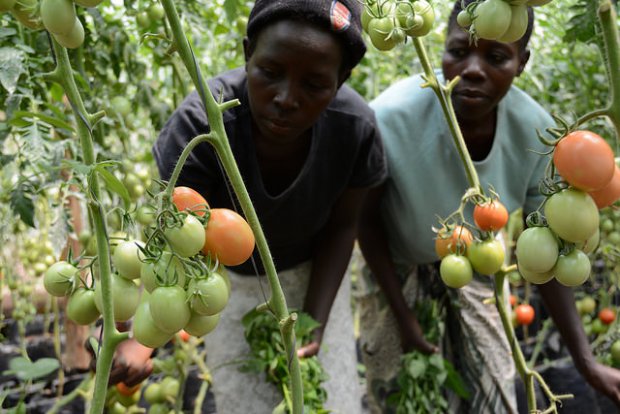 Village youth group inspires climate action