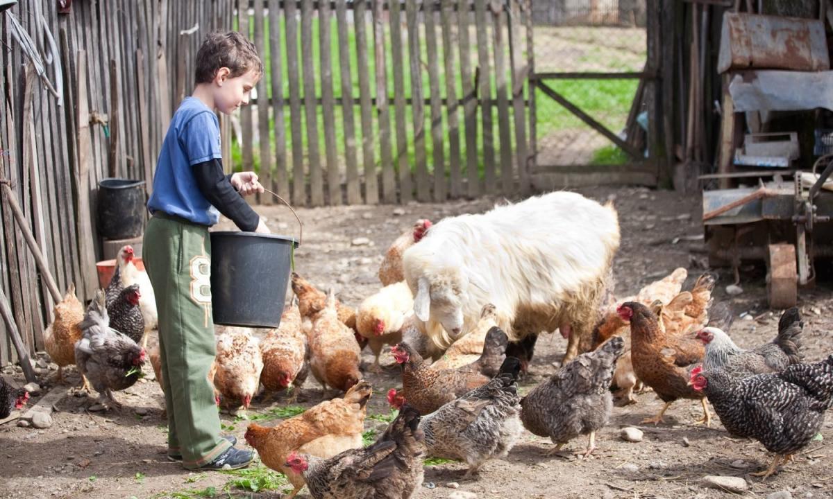 The Farmers and Food System Leaders of Tomorrow