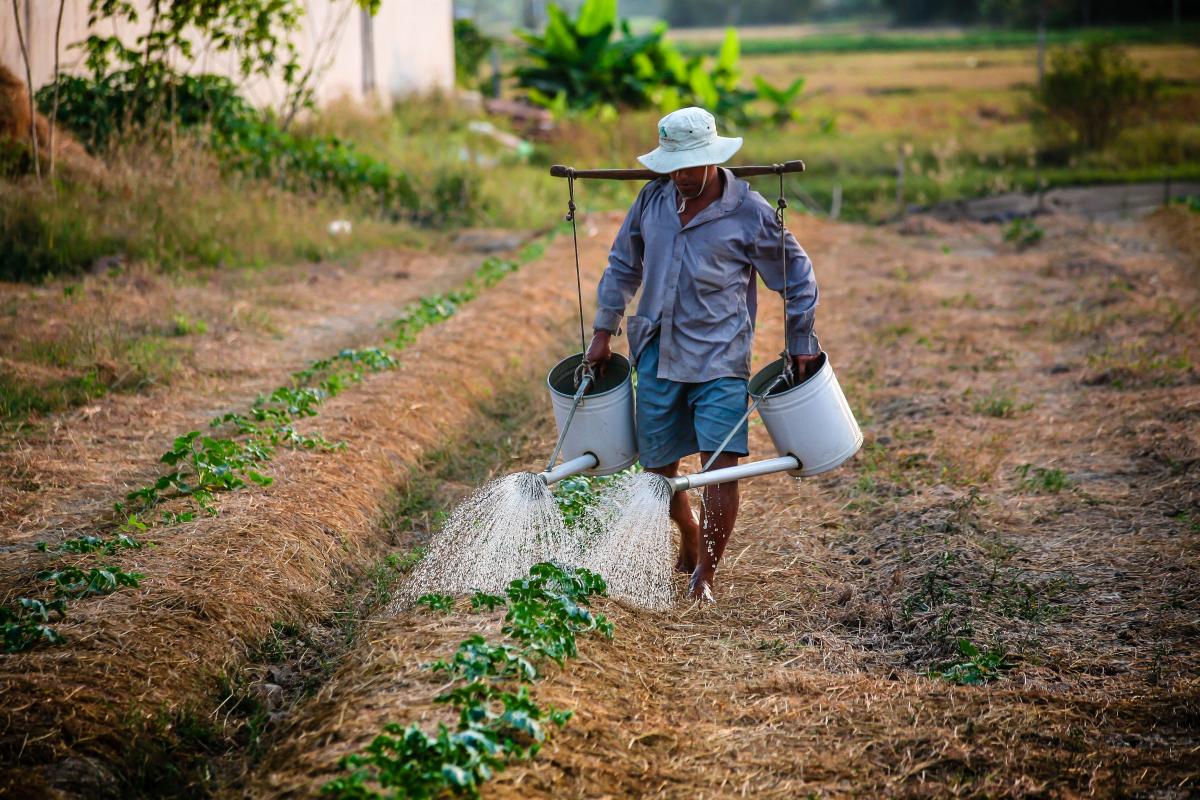 watering can