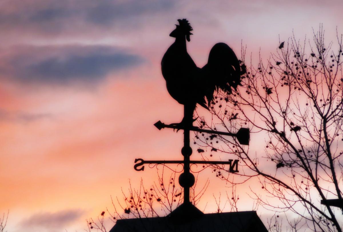 Weather vane - New partnership between Farming First coalition and YPARD