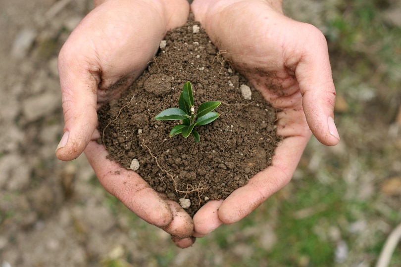 International Womens Day  Successful Women Agripreneurs