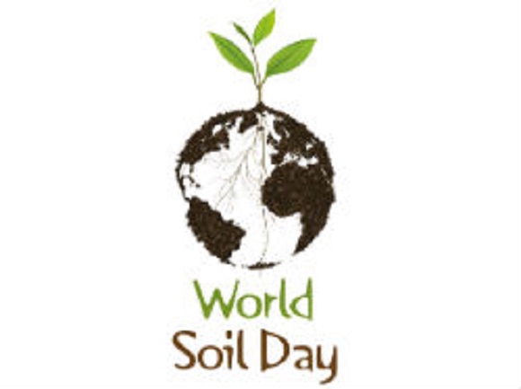 World soil day December 5th