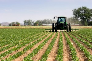 Use of tractor in agriculture