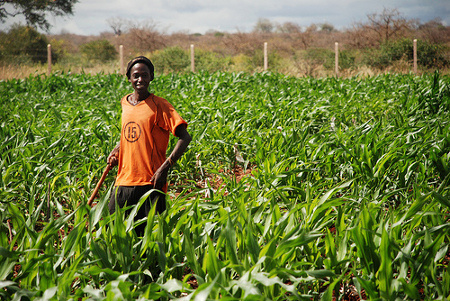 A young maize farmer in Ethiopia. Youth cant wait for legislaters to include them in negotiationsthey need to start speaking up for themselves instead.