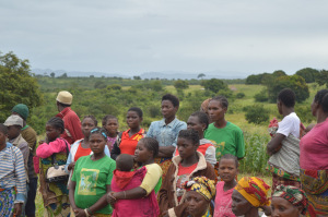 Young people, Agriculture, Food chain