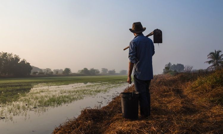 Farmers, businesses, policy-makers, and educators need to promote agriculture as an intellectually stimulating and economically sustainable career. (shutterstock)