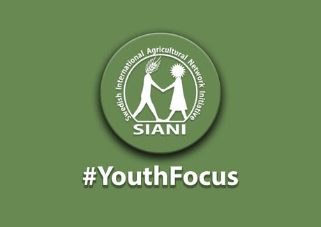 Our #YouthFocus survey results provide suggestions for a more effective youth outreach