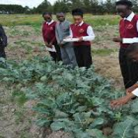 Africa Farming Students' Association