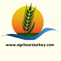 Agri Tours Turkey